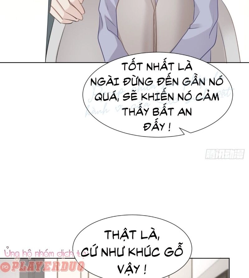 Điều Giáo Gấu Bắc Cực Chapter 46 - 36