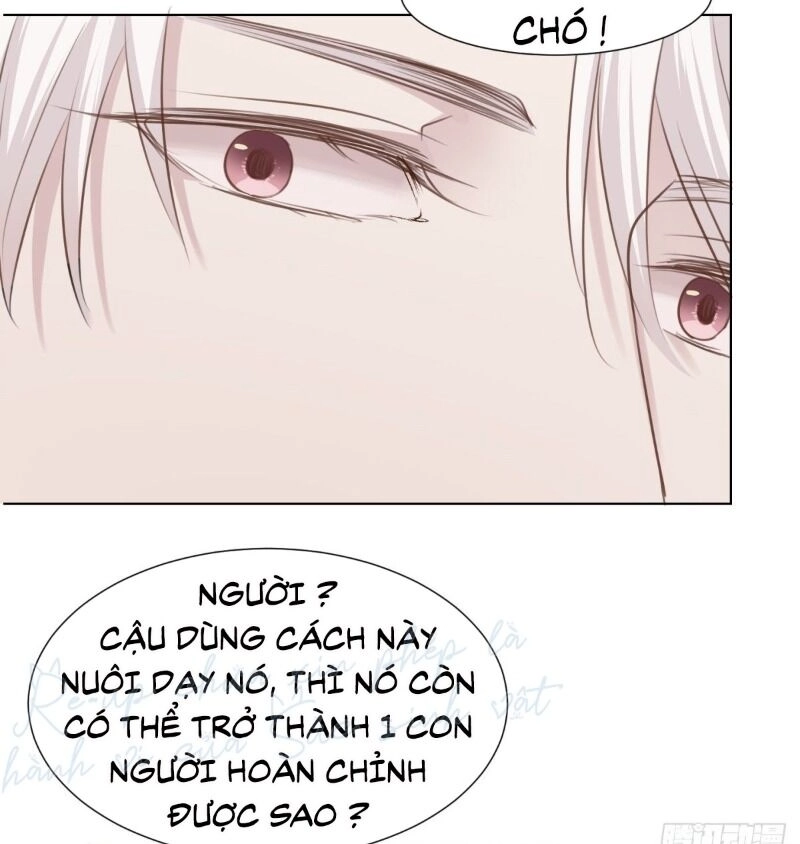 Điều Giáo Gấu Bắc Cực Chapter 46 - 59