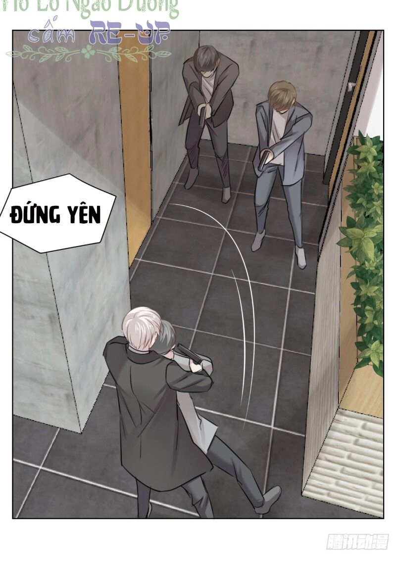 Điều Giáo Gấu Bắc Cực Chapter 47 - 37