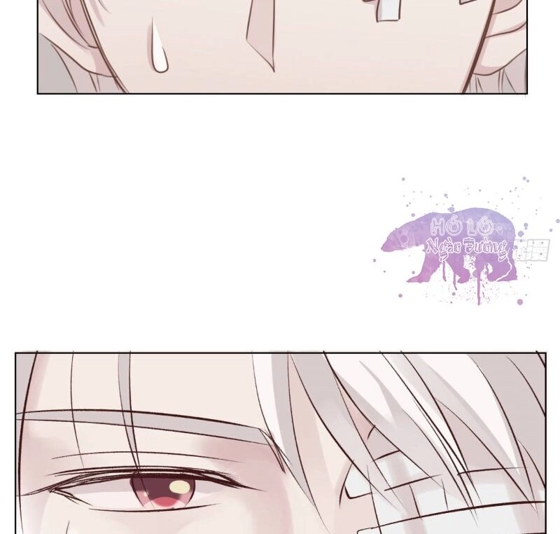 Điều Giáo Gấu Bắc Cực Chapter 48 - 3