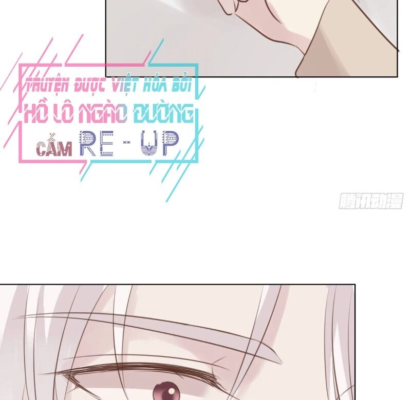 Điều Giáo Gấu Bắc Cực Chapter 48 - 40