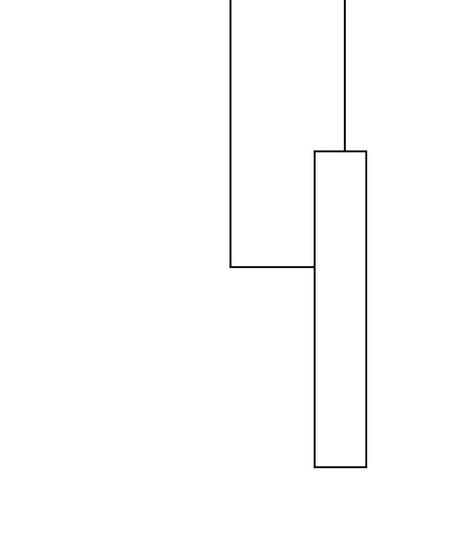 Khuynh Thành Cuồng Phi Của Tà Vương Chapter 60 - 15