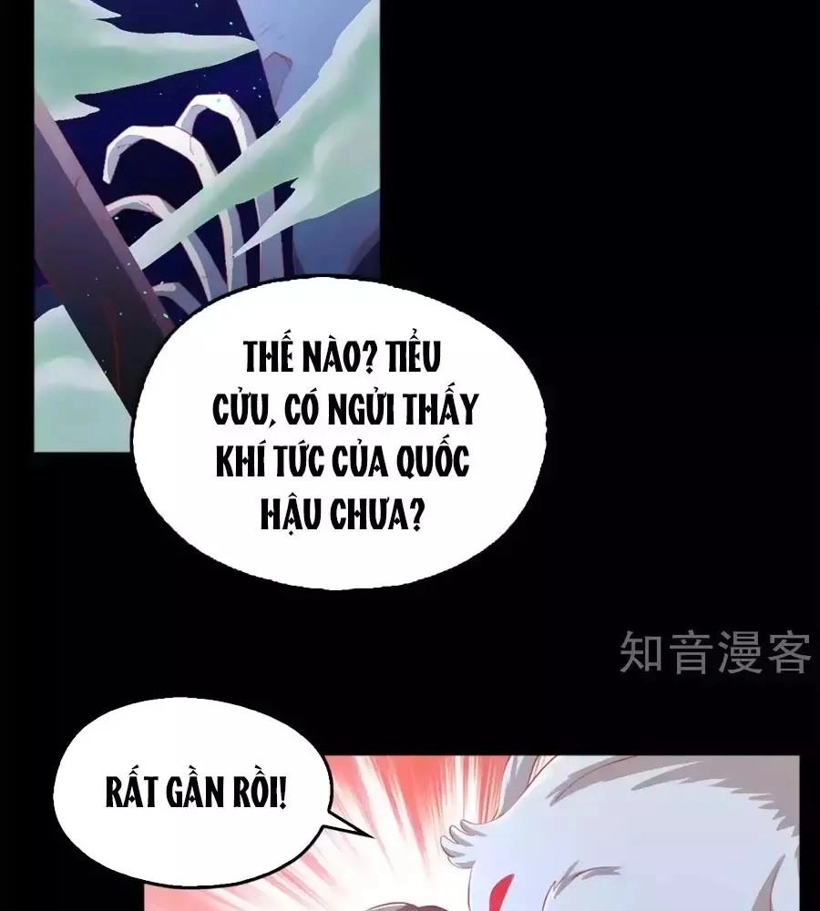 Khuynh Thành Cuồng Phi Của Tà Vương Chapter 102 - 46