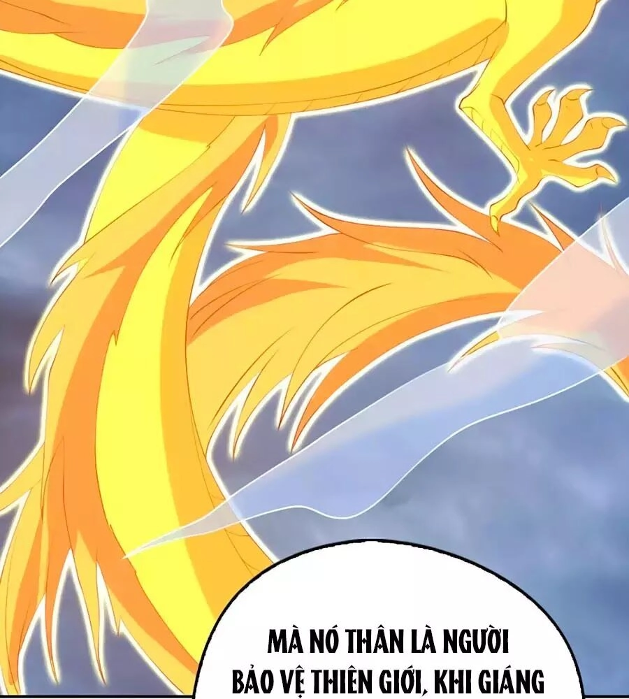 Khuynh Thành Cuồng Phi Của Tà Vương Chapter 116 - 42