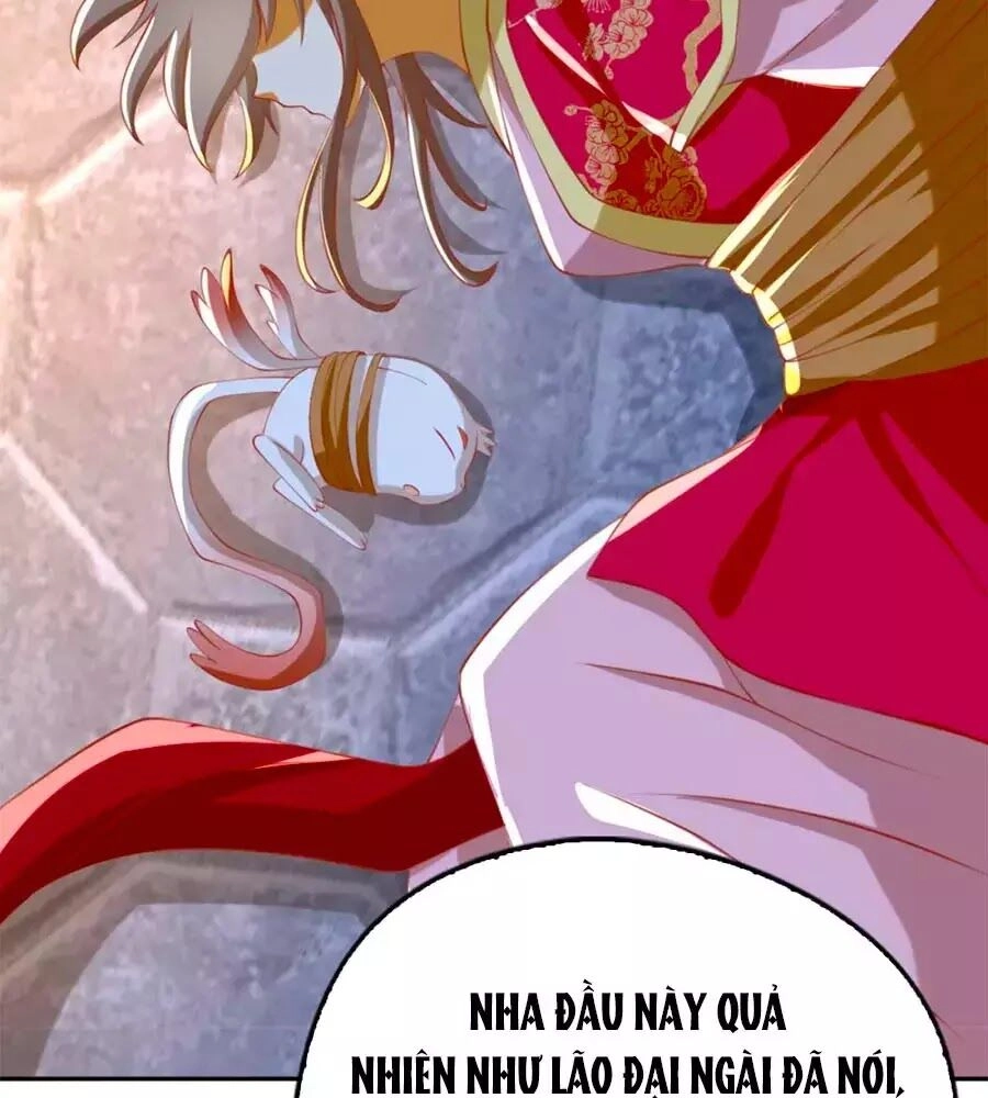 Khuynh Thành Cuồng Phi Của Tà Vương Chapter 120 - 55