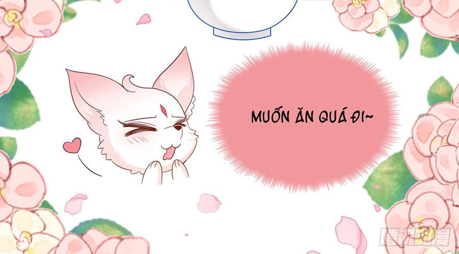 Vương Phi Thật Uy Vũ Chapter 40 - 14