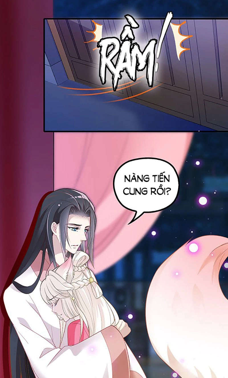 Vương Phi Thật Uy Vũ Chapter 45 - 11