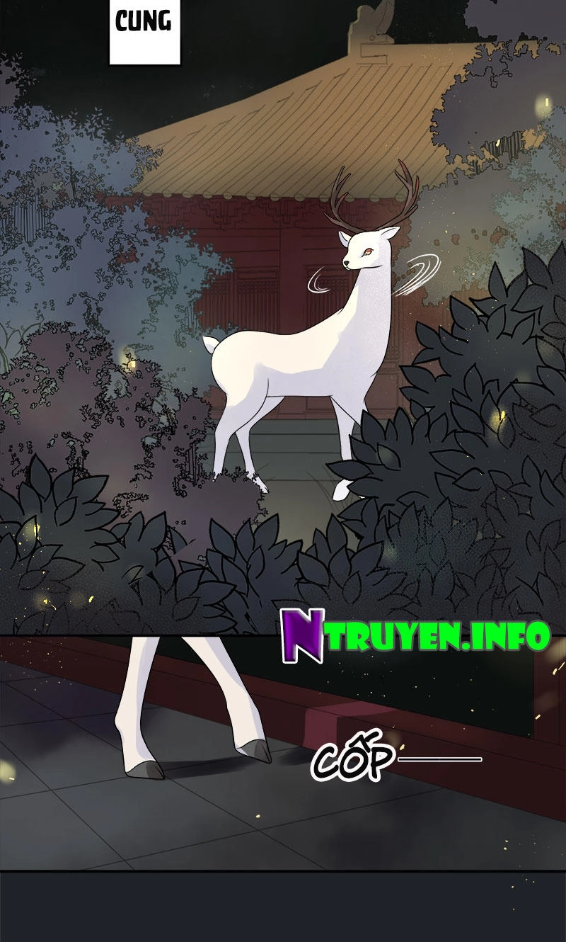 Tư Thế Chính Xác Cùng Bệ Hạ Yêu Đương Chapter 3 - 15