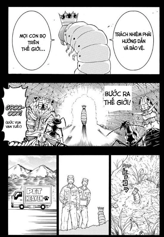 Lâm Vương! Chapter 1 - 22