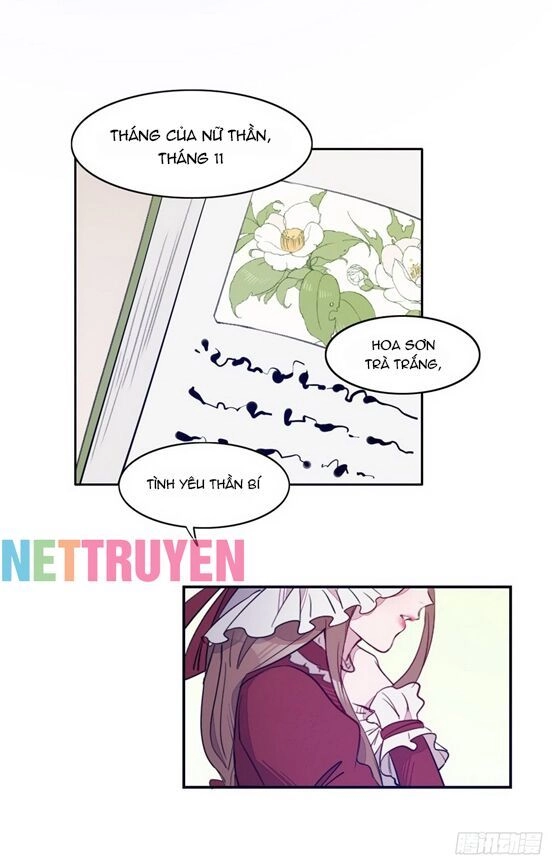 Anh Trai Ma Cà Rồng Và Bạn Trai Người Sói Của Tôi Chapter 12 - 17