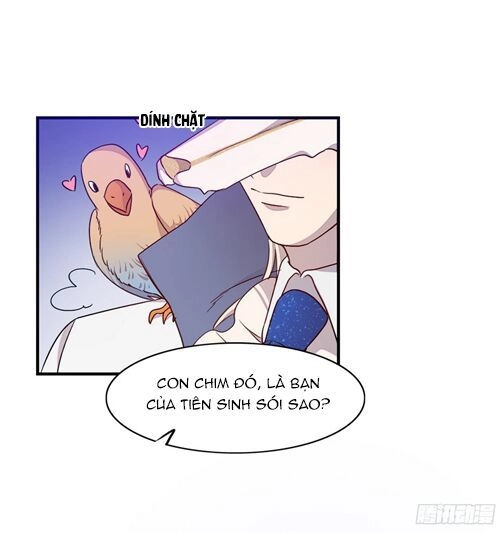 Anh Trai Ma Cà Rồng Và Bạn Trai Người Sói Của Tôi Chapter 17 - 10