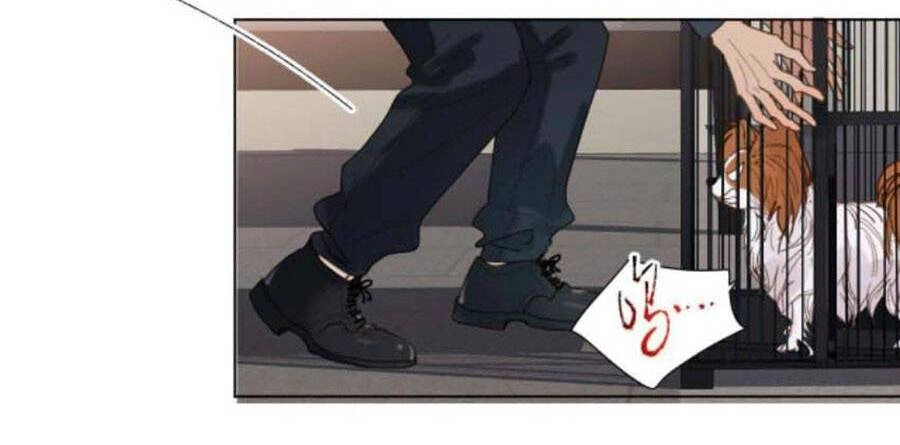 Mối Quan Hệ Không Hoàn Hảo Chapter 112 - 13