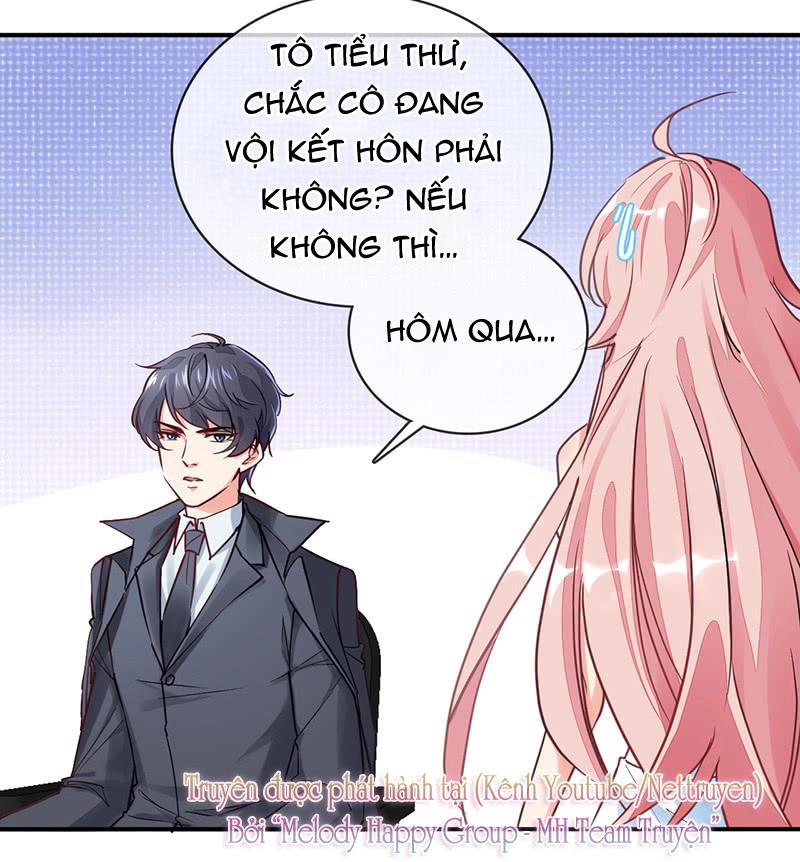 Danh Môn Lược Hôn: Cố Thiếu Nhĩ Câu Liễu Chapter 3 - 5