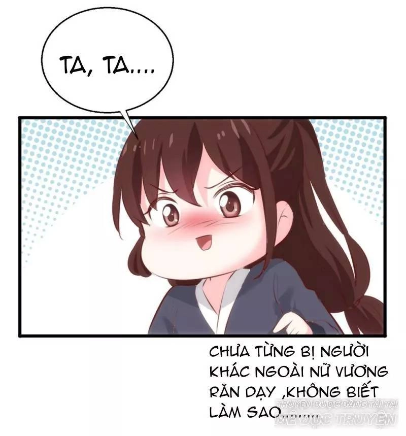 Bẩm Báo Công Chúa ! Chapter 31 - 31