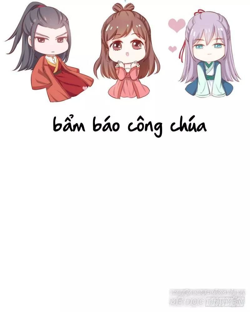 Bẩm Báo Công Chúa ! Chapter 38 - 36