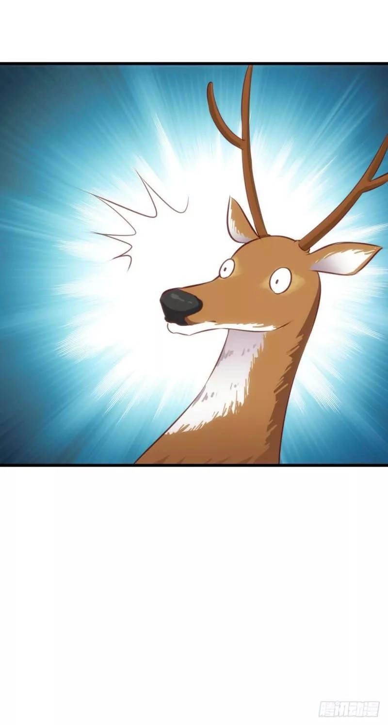 Bẩm Báo Công Chúa ! Chapter 39 - 35