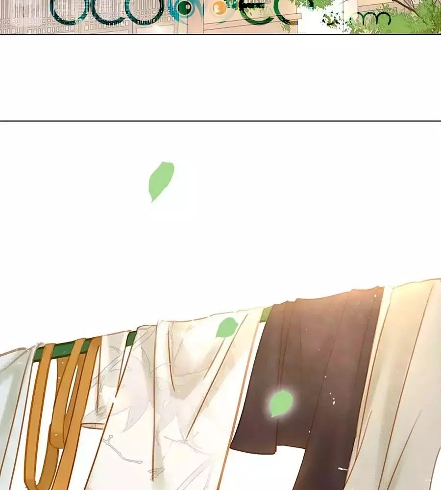 Tiểu Sư Phụ, Tóc Giả Của Ngài Rơi Rồi! Chapter 8 - 3