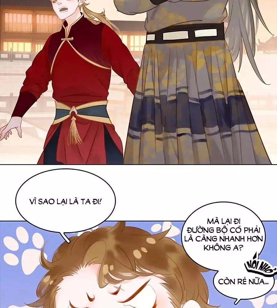 Tiểu Sư Phụ, Tóc Giả Của Ngài Rơi Rồi! Chapter 21 - 41