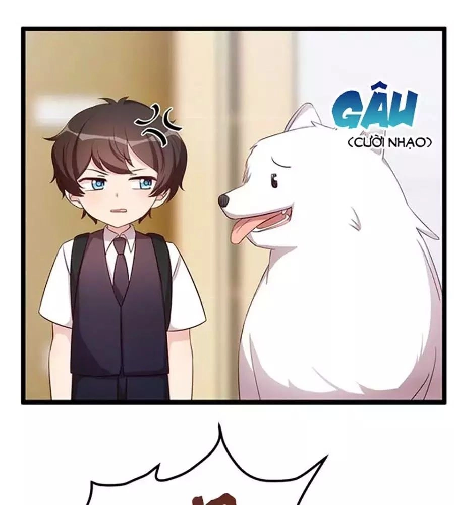 Tiểu Sư Phụ, Tóc Giả Của Ngài Rơi Rồi! Chapter 23 - 1