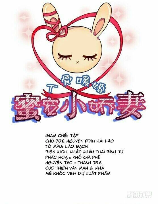 Nhập Cốt Noãn Hôn - Mật Sủng Tiểu Kiều Thê Chapter 1 - 1