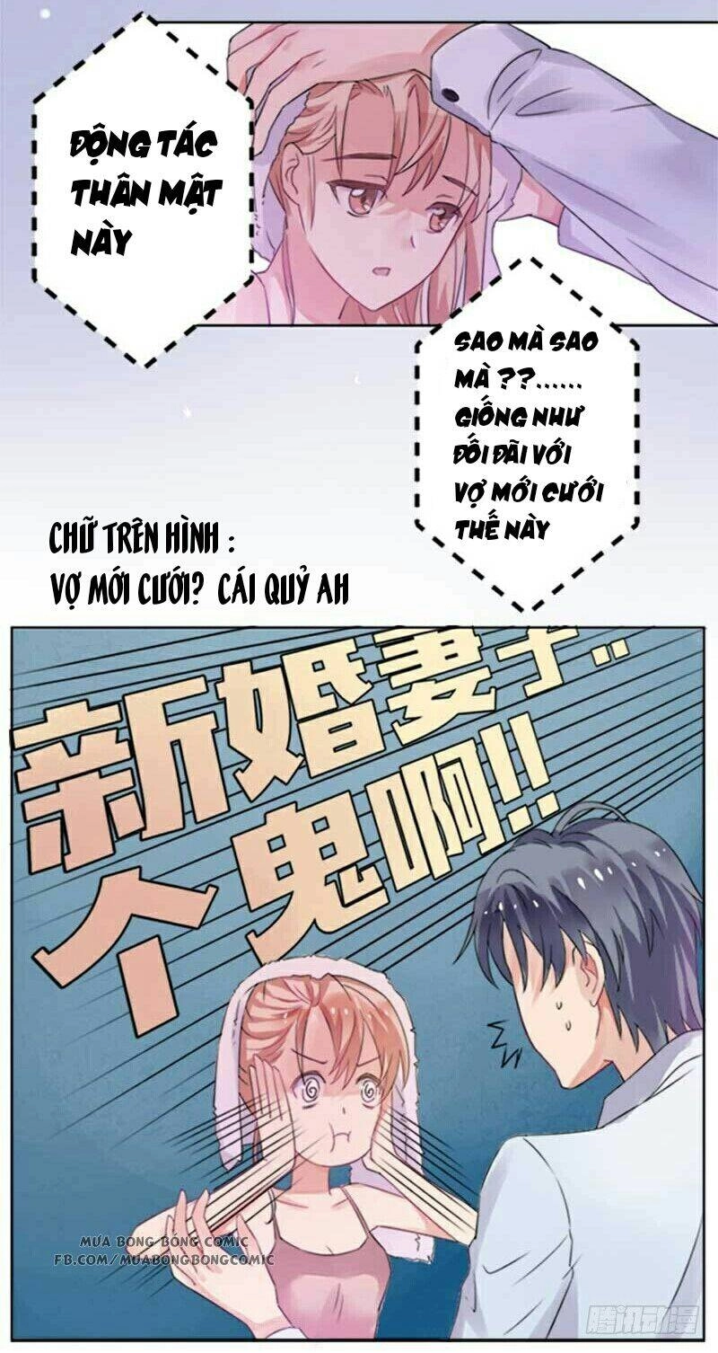 Nhập Cốt Noãn Hôn - Mật Sủng Tiểu Kiều Thê Chapter 2 - 9