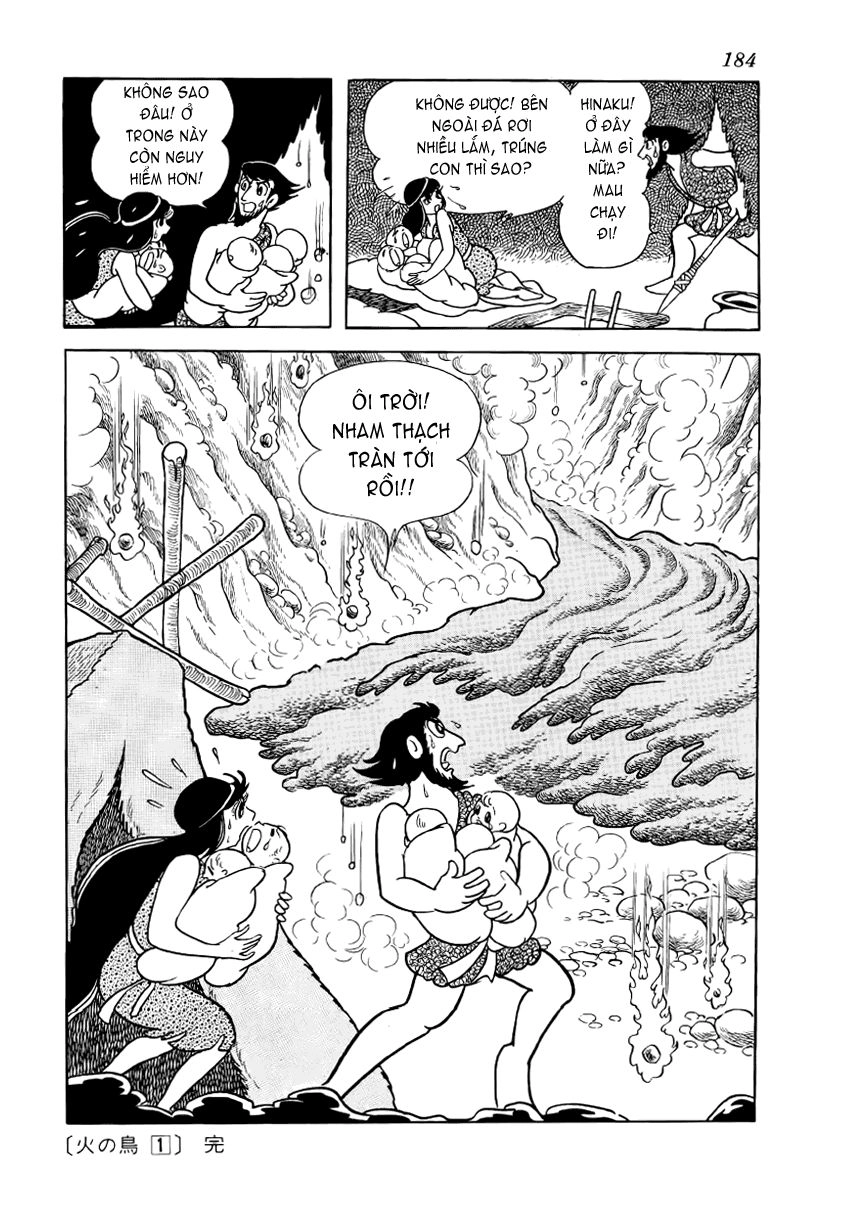 Chim Lửa Chapter 8 - 30