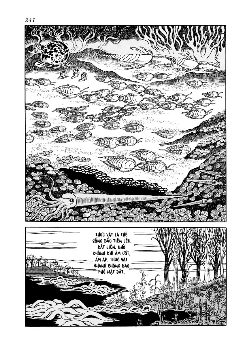 Chim Lửa Chapter 28 - 14