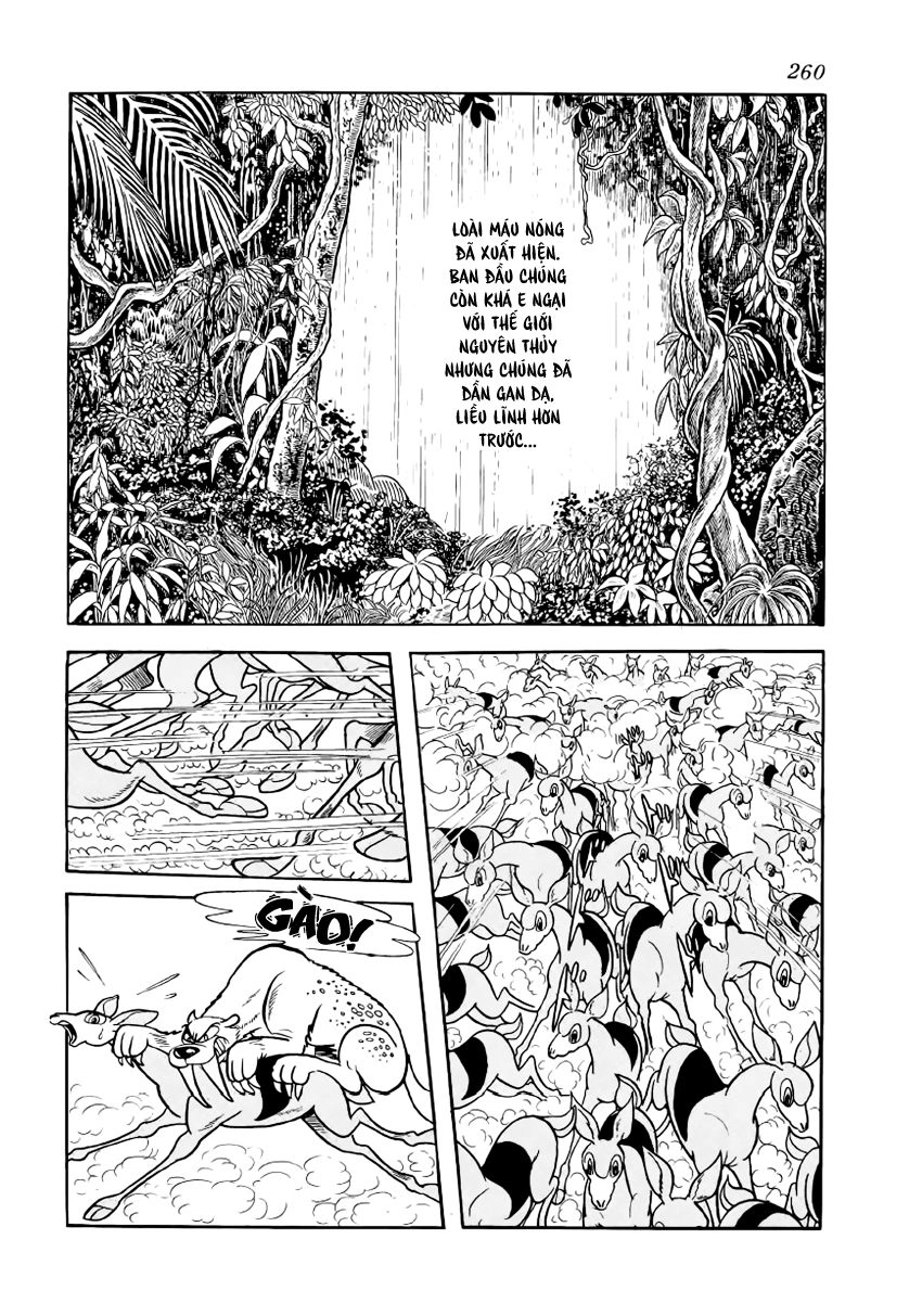 Chim Lửa Chapter 29 - 13