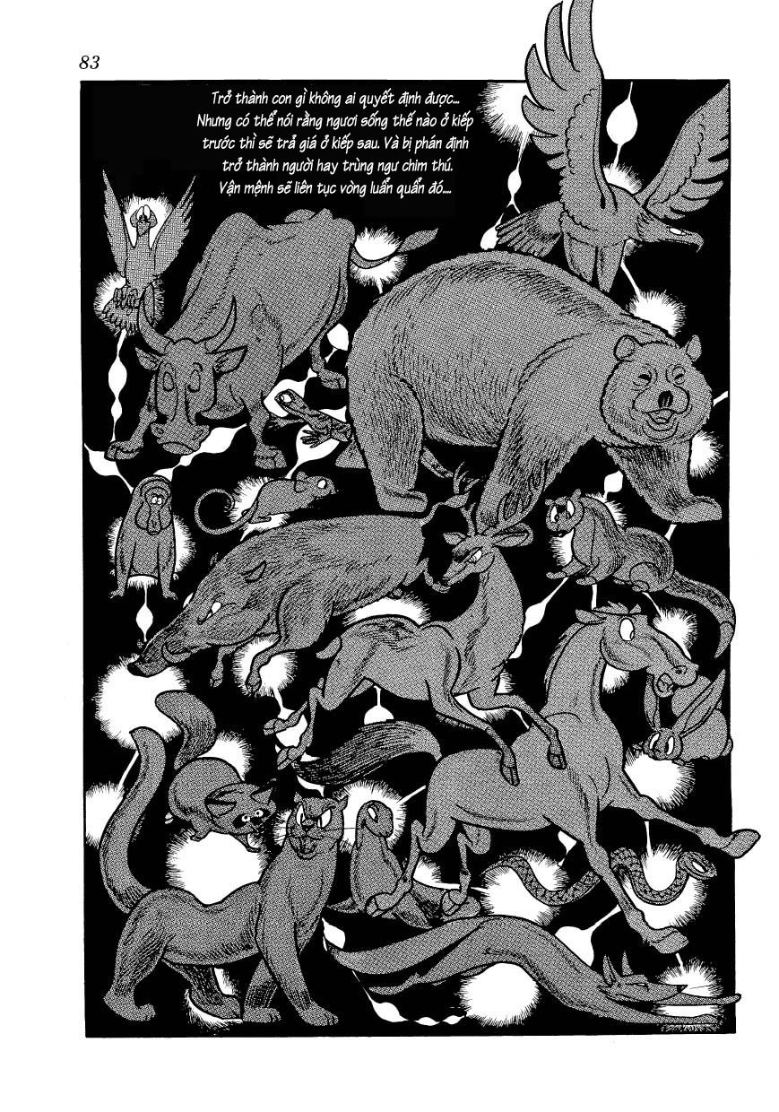 Chim Lửa Chapter 46 - 10