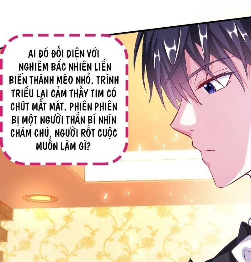 Gà Cưng Nổi Tiếng Theo Đuổi Minh Tinh Chapter 9 - 46