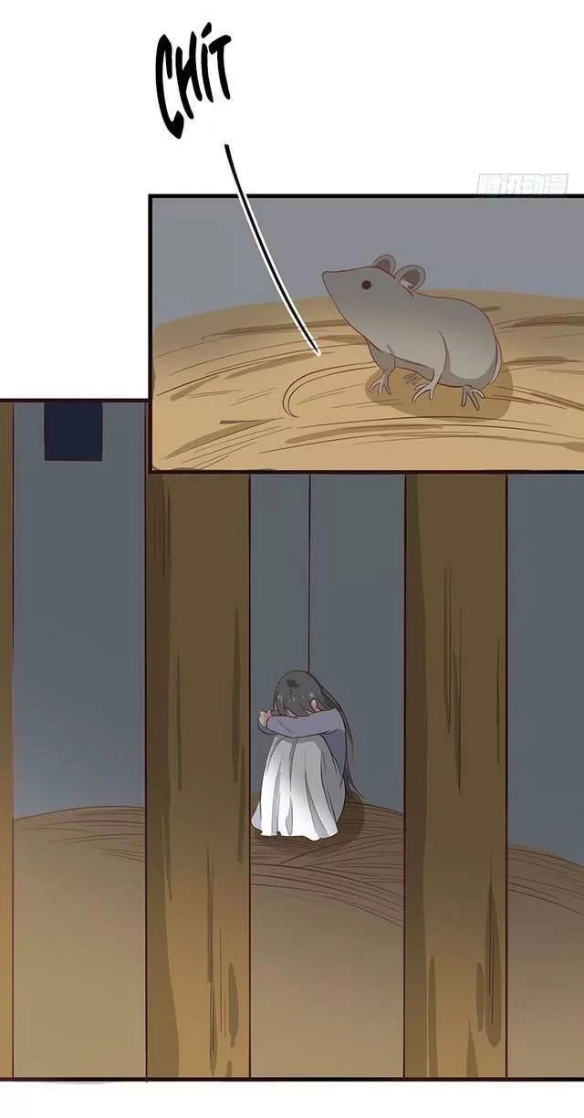 Vương Gia Người Ta Sẽ Giảm Béo Mà!!! Chapter 50 - 15