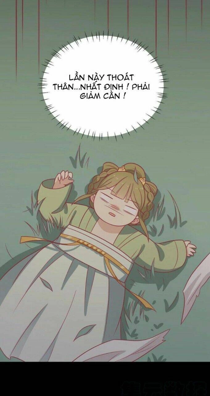 Vương Gia Người Ta Sẽ Giảm Béo Mà!!! Chapter 100 - 19