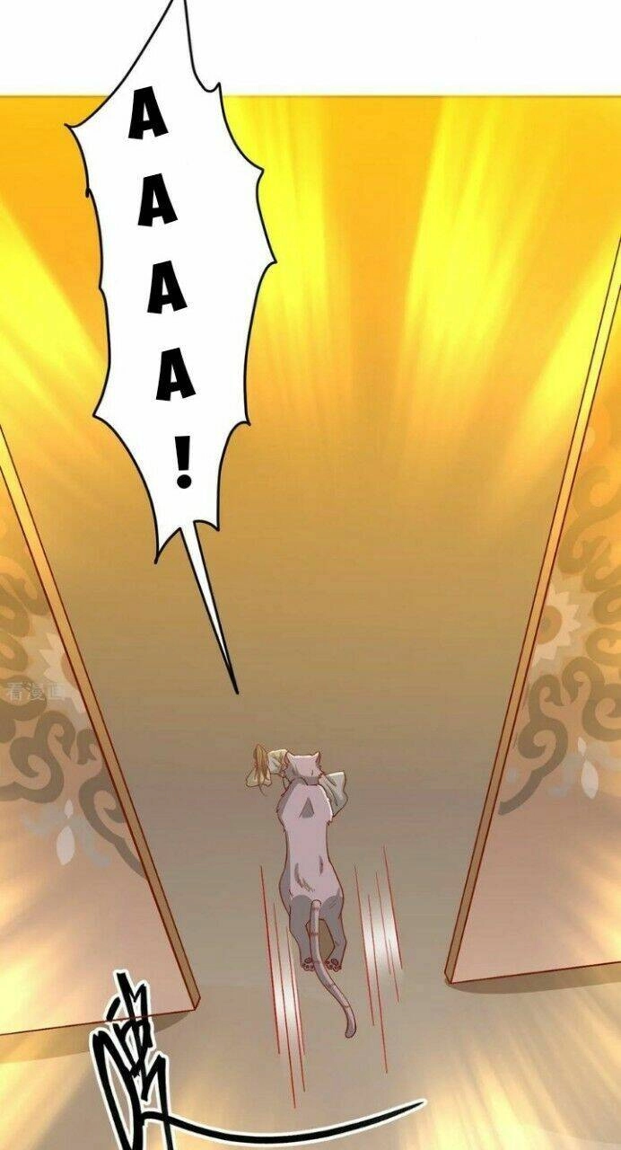 Vương Gia Người Ta Sẽ Giảm Béo Mà!!! Chapter 136 - 34