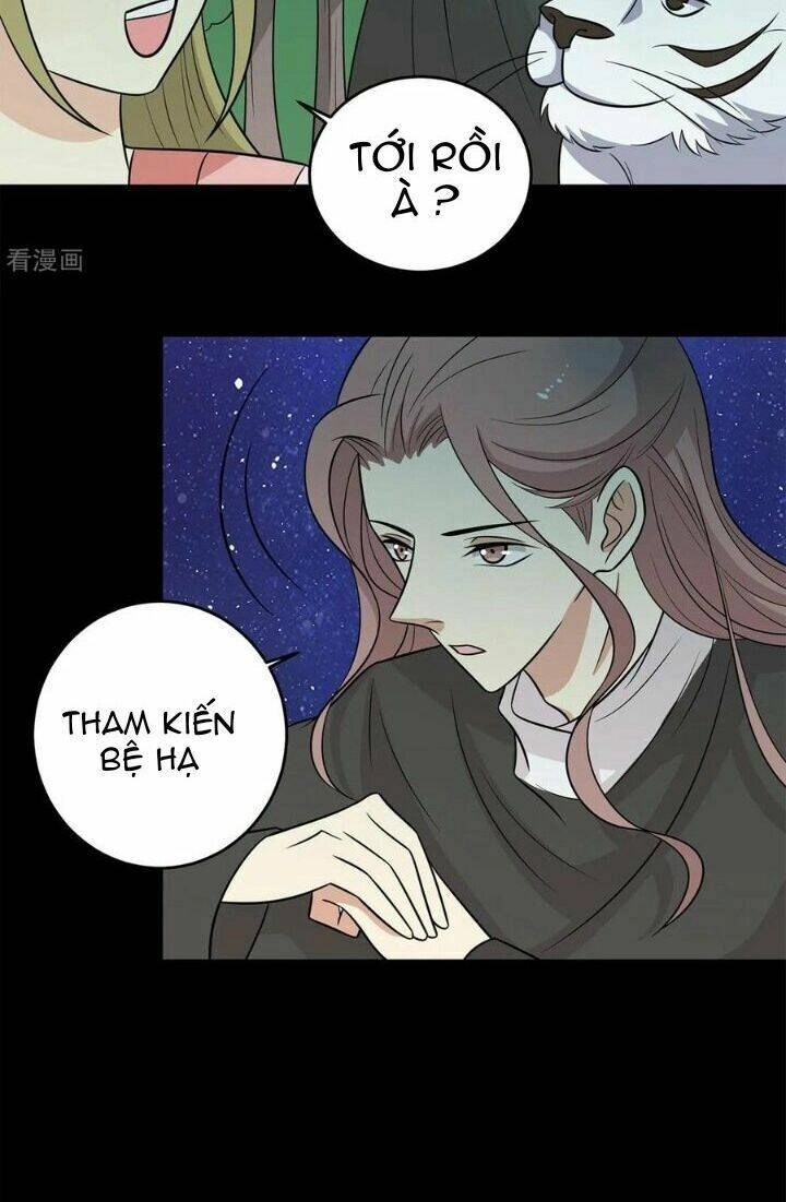 Vương Gia Người Ta Sẽ Giảm Béo Mà!!! Chapter 149 - 13