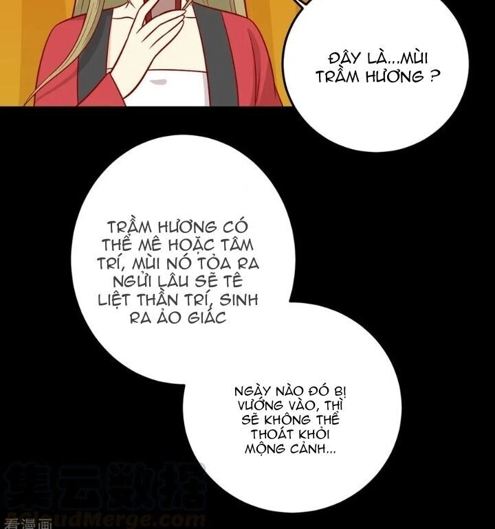 Vương Gia Người Ta Sẽ Giảm Béo Mà!!! Chapter 164 - 35