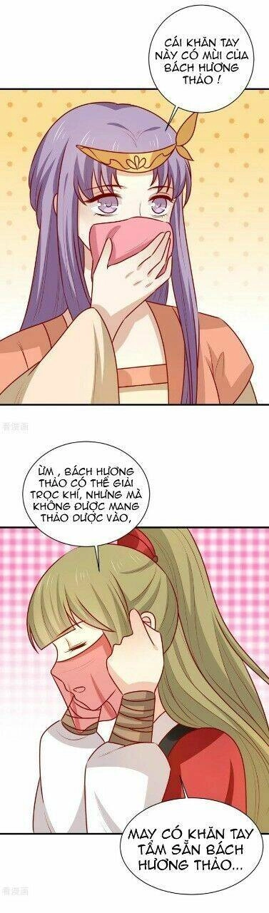 Vương Gia Người Ta Sẽ Giảm Béo Mà!!! Chapter 169 - 5