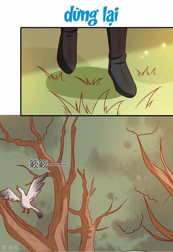 Vương Gia Người Ta Sẽ Giảm Béo Mà!!! Chapter 169 - 7