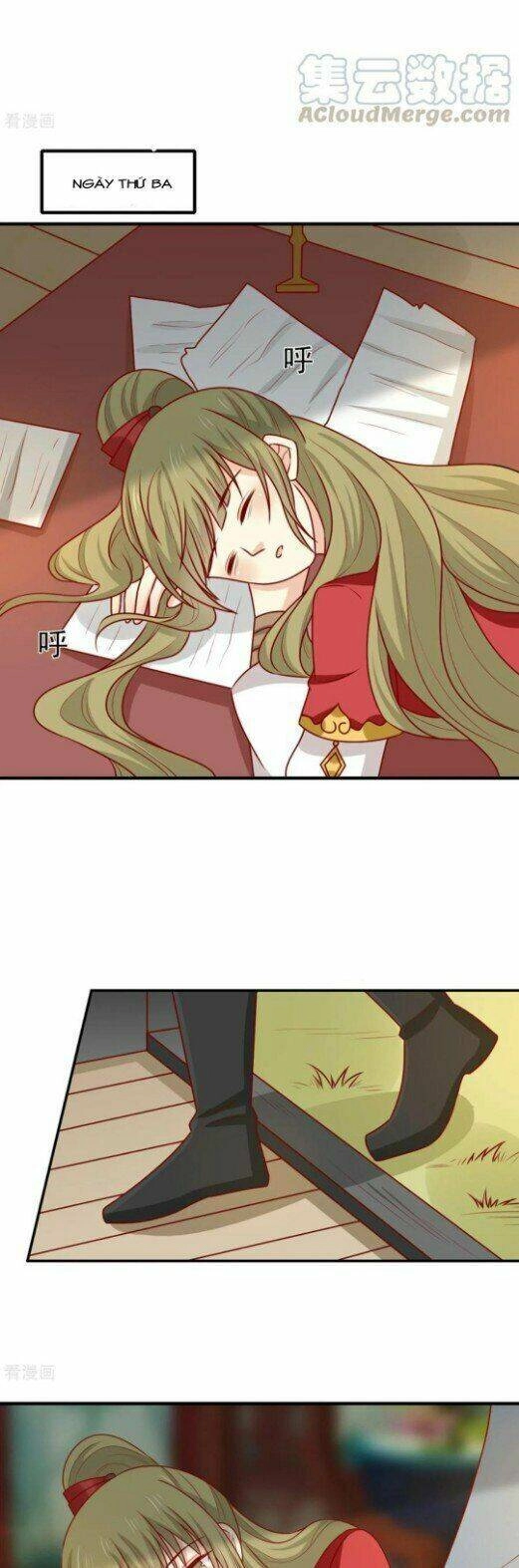 Vương Gia Người Ta Sẽ Giảm Béo Mà!!! Chapter 175.5 - 16