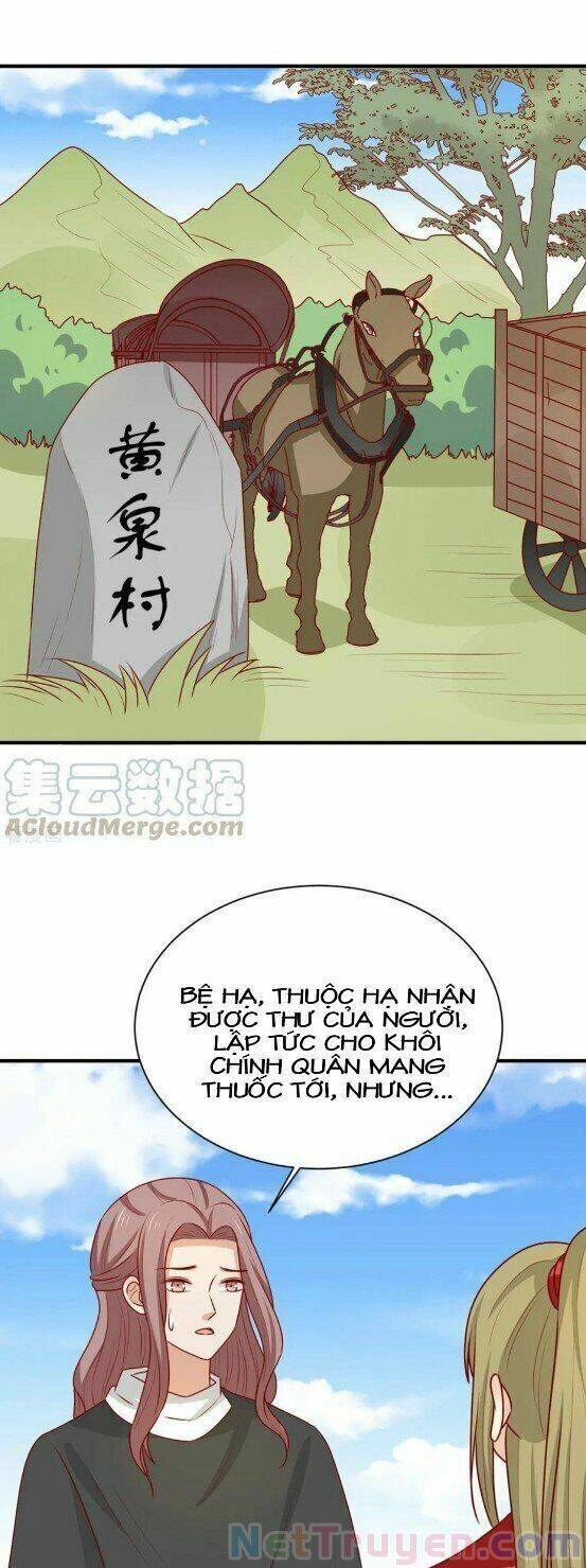 Vương Gia Người Ta Sẽ Giảm Béo Mà!!! Chapter 176 - 8