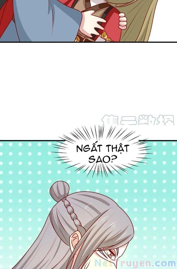 Vương Gia Người Ta Sẽ Giảm Béo Mà!!! Chapter 178 - 26