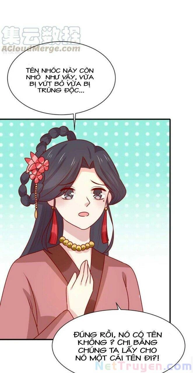 Vương Gia Người Ta Sẽ Giảm Béo Mà!!! Chapter 181 - 19