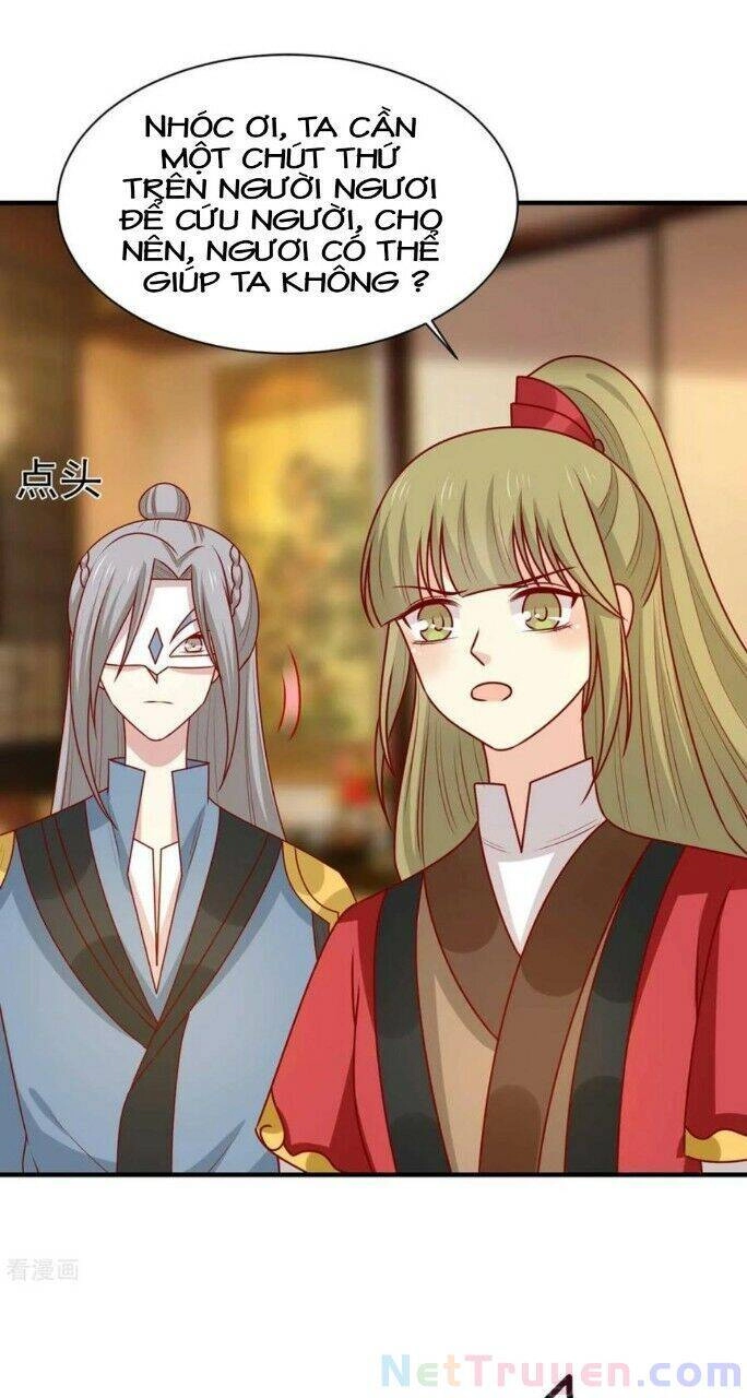 Vương Gia Người Ta Sẽ Giảm Béo Mà!!! Chapter 181 - 29