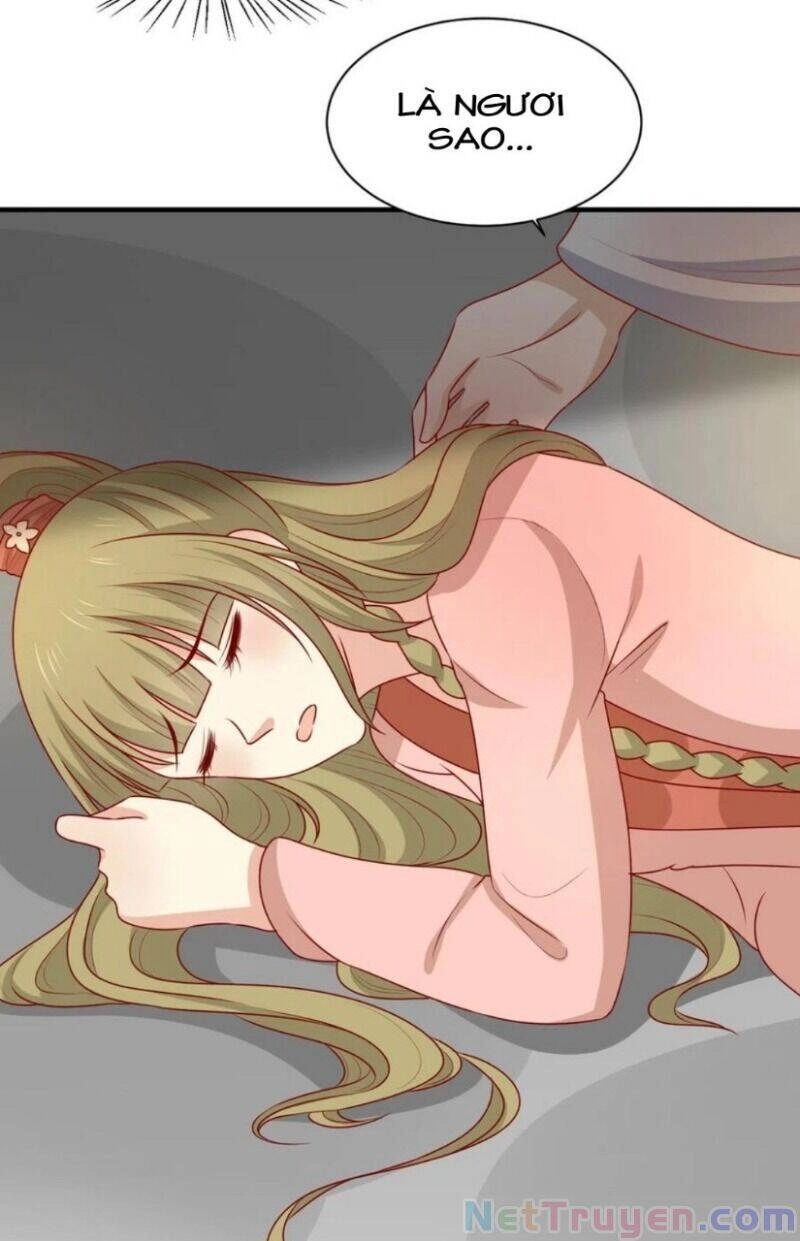 Vương Gia Người Ta Sẽ Giảm Béo Mà!!! Chapter 195 - 12