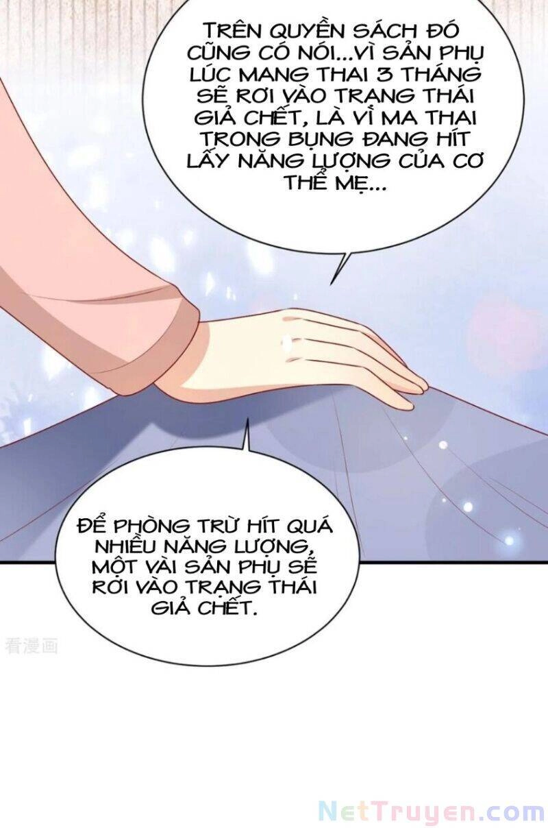 Vương Gia Người Ta Sẽ Giảm Béo Mà!!! Chapter 195 - 25