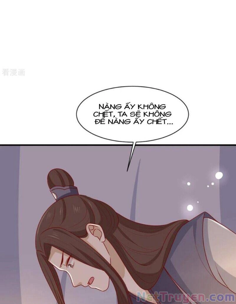 Vương Gia Người Ta Sẽ Giảm Béo Mà!!! Chapter 195 - 28