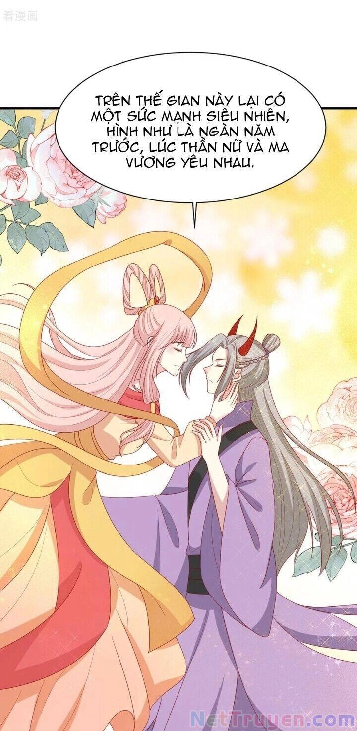 Vương Gia Người Ta Sẽ Giảm Béo Mà!!! Chapter 197 - 13