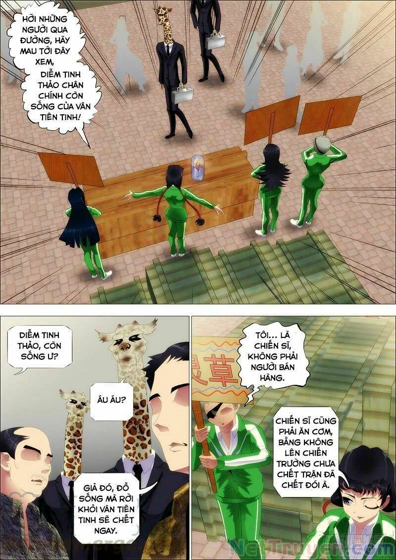 Iron Ladies Chapter 233 - 1