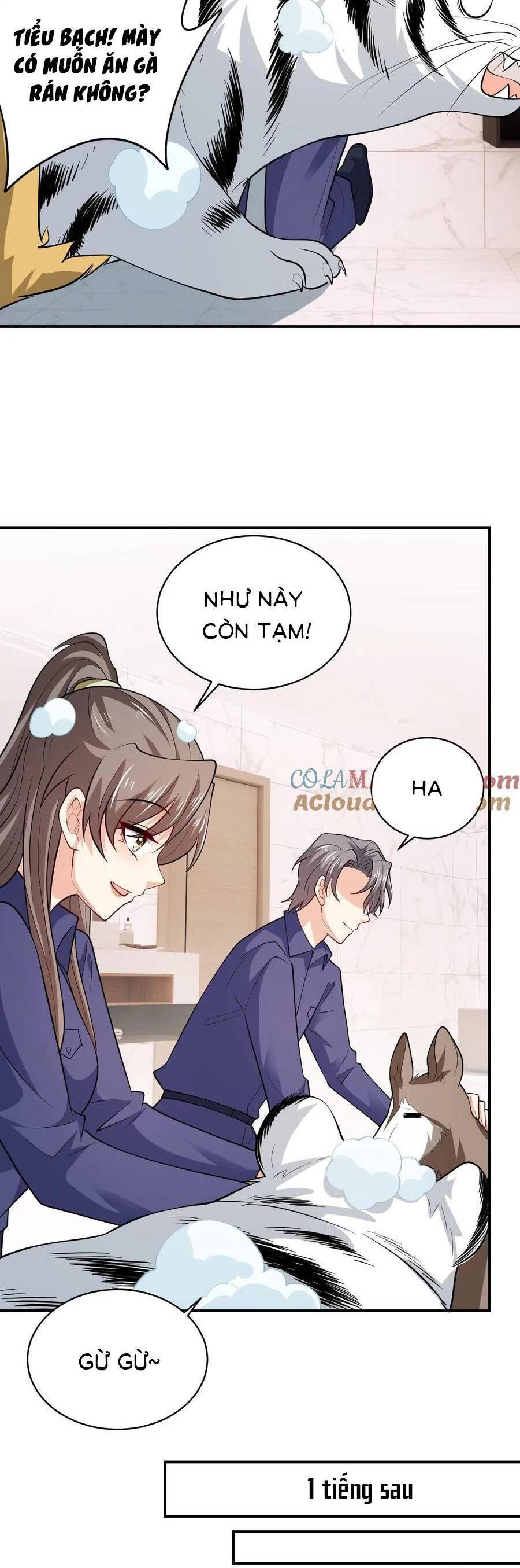 Bệnh Kiều Lệ Gia Được Ta Sủng Ái Nên Kiêu Chapter 81 - 12