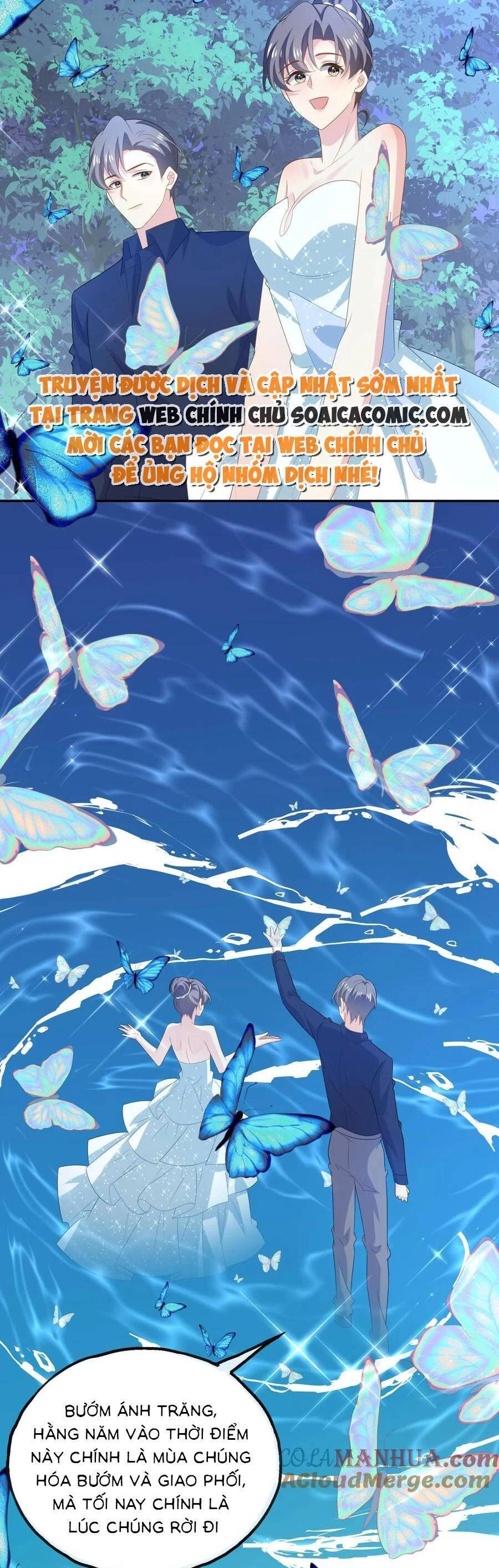 Bệnh Kiều Lệ Gia Được Ta Sủng Ái Nên Kiêu Chapter 122 - 8