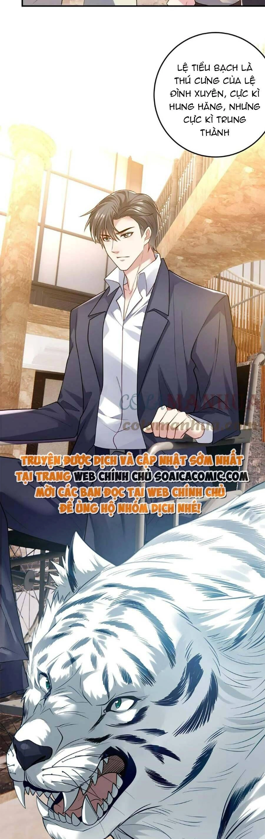 Bệnh Kiều Lệ Gia Được Ta Sủng Ái Nên Kiêu Chapter 42 - 15